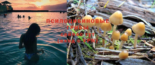 ALPHA PVP Беломорск