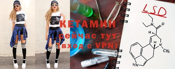 сатива Баксан