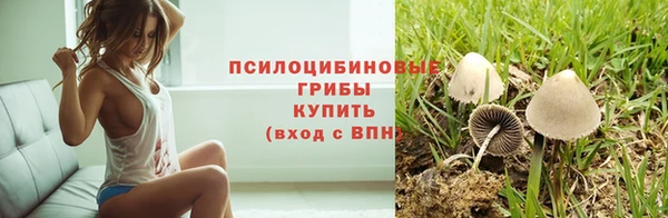 ALPHA PVP Беломорск