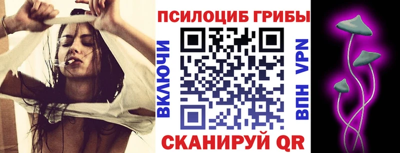 Псилоцибиновые грибы прущие грибы  где купить наркоту  Мостовской 