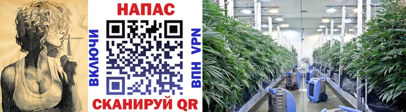 Бошки Шишки MAZAR Мостовской